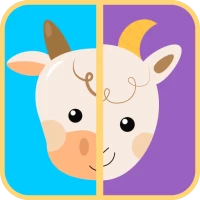 Kids Memory Card Game