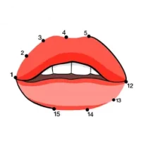 Dot to Dot: Connect the Dots