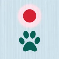 Cat laser pointer  - Pet fun