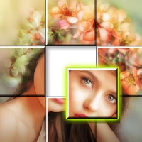 Jigsort Jigsaw Puzzles